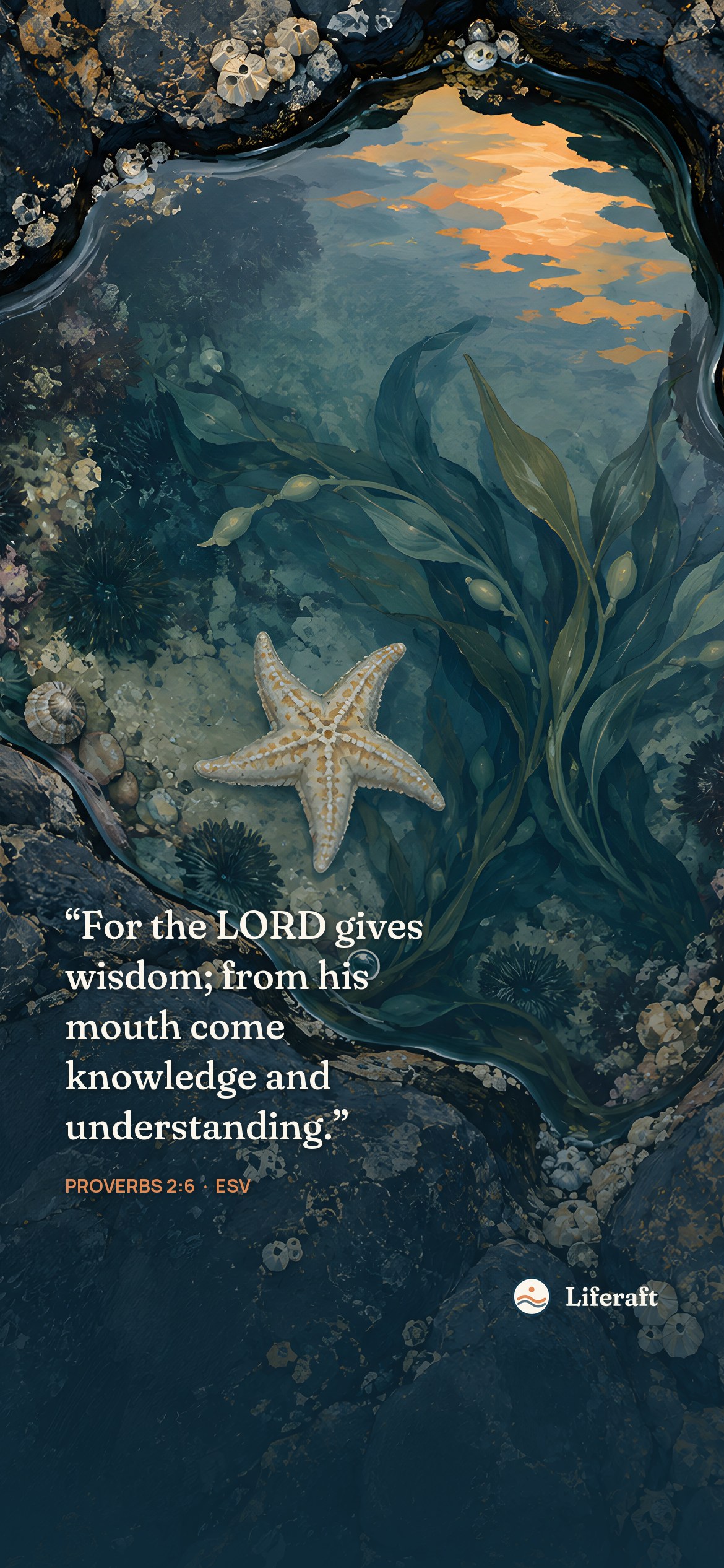 A world in a tidepool, with Proverbs 2:6