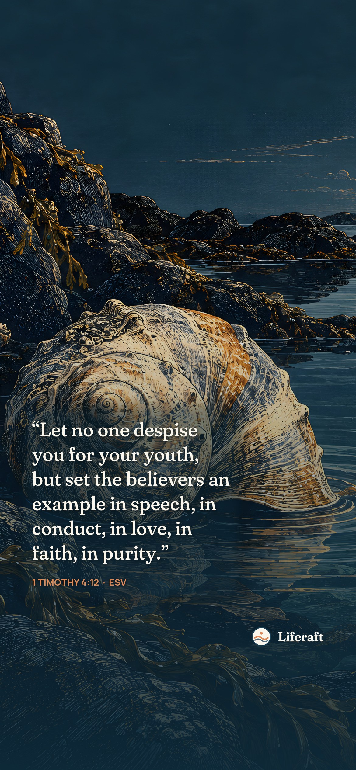 The shell and the tide, with 1 Timothy 4:12