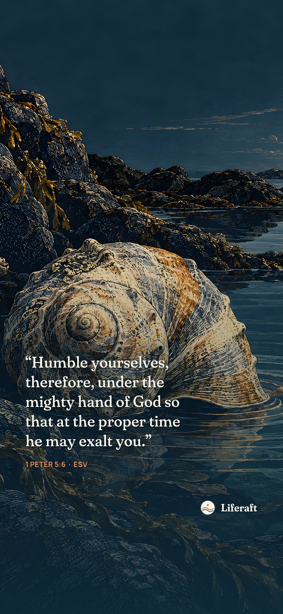 The shell and the tide, with 1 Peter 5:6