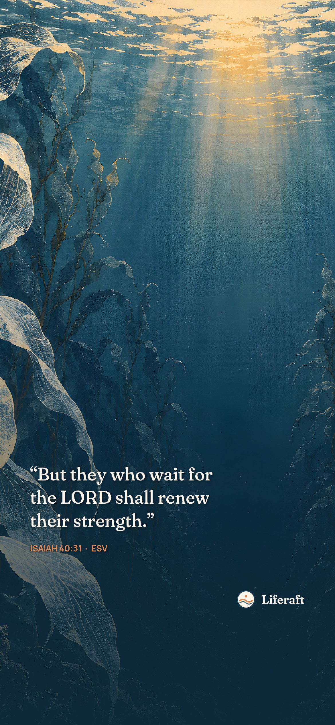 Kelp forest of light, with Isaiah 40:31
